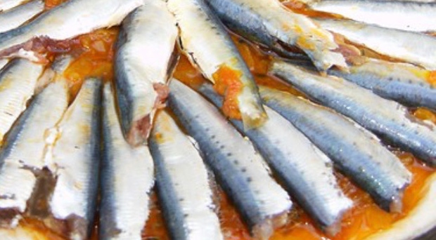 Empanadas de sardinillas 8
