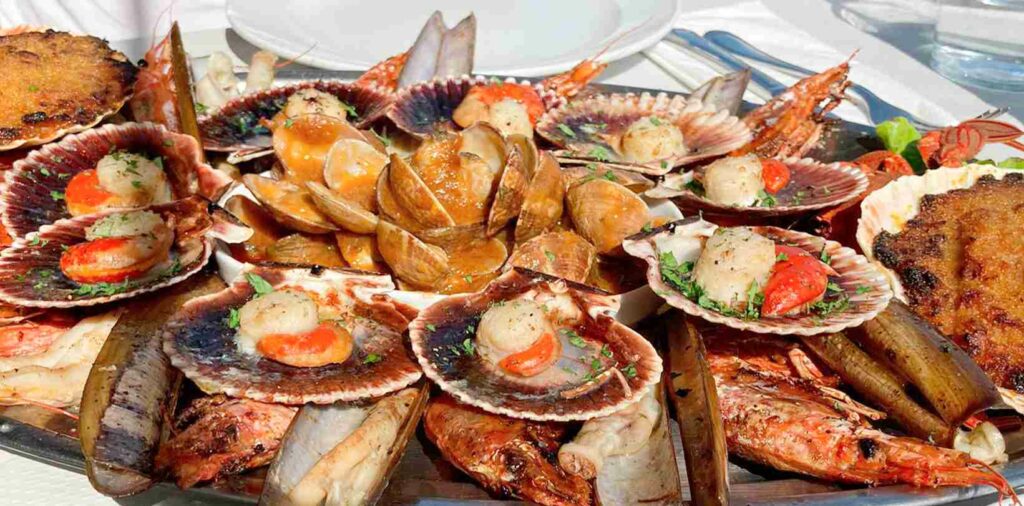 Marisco de Galicia 3