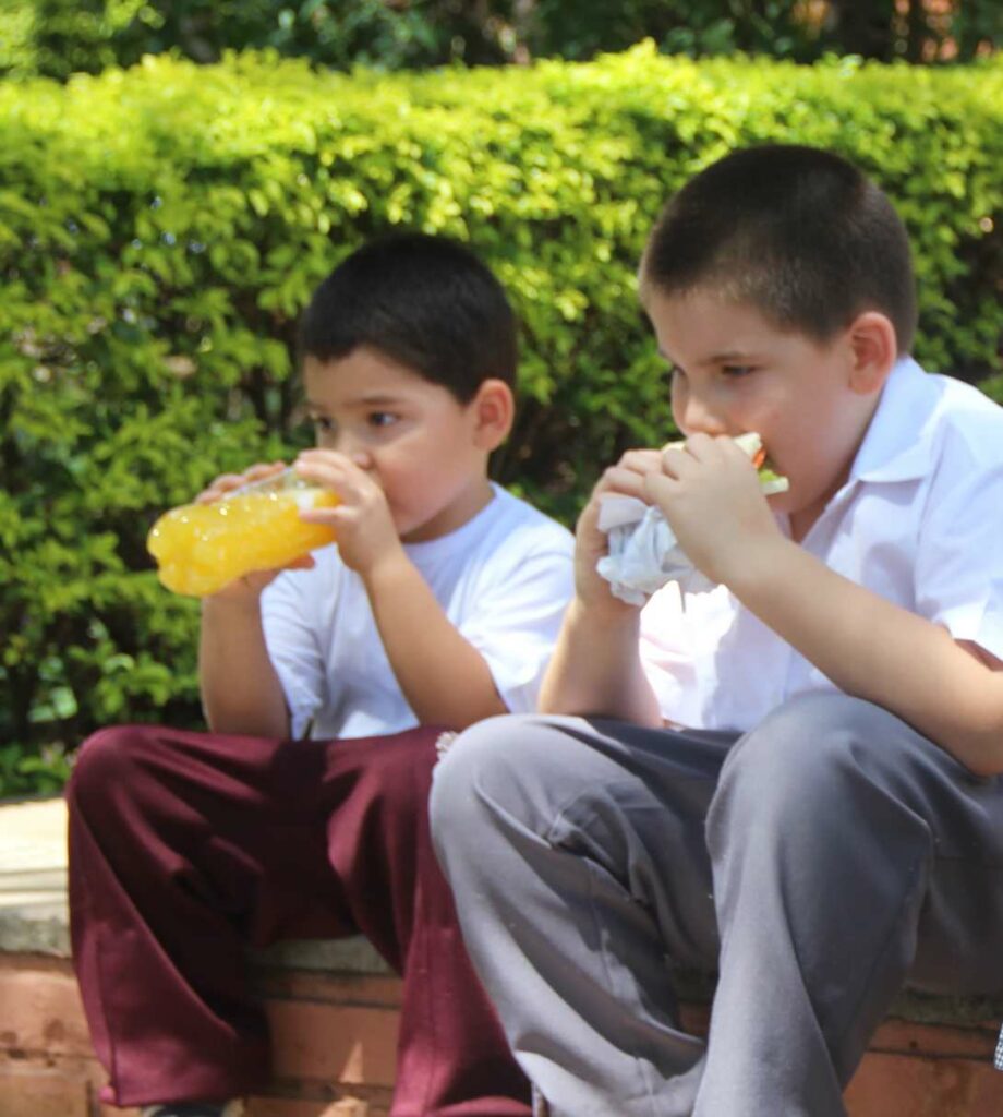 Almuerzos saludables 13