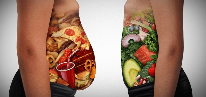 platos saludables 15
